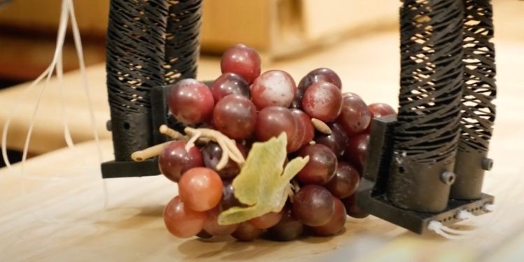 El sistema robótico blando del MIT está diseñado para empaquetar alimentos